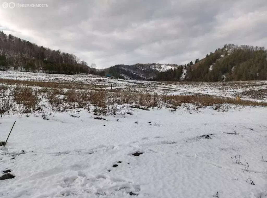 Участок в Бирюля, Таркольская улица (14 м) - Фото 1