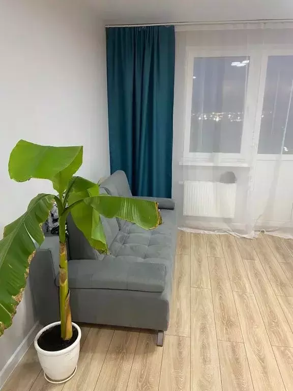 Студия Краснодарский край, Новороссийск ул. Герцена, 3Ак2 (24.0 м) - Фото 0