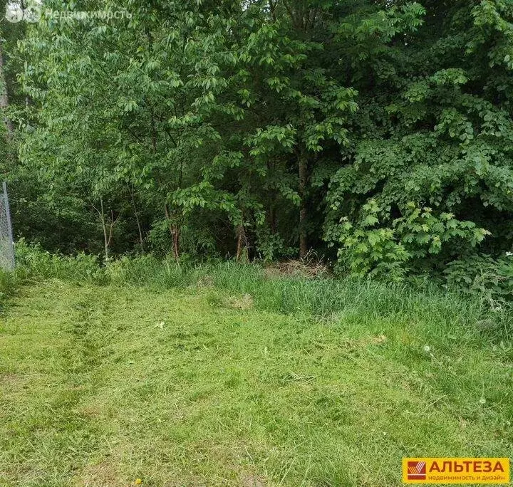 Участок в Калининградская область, Гурьевский муниципальный округ, СНТ ... - Фото 2