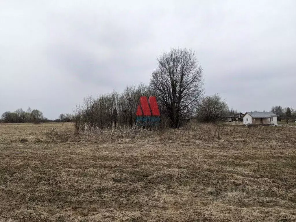 Участок в Ярославская область, Ярославский муниципальный округ, д. ... - Фото 1