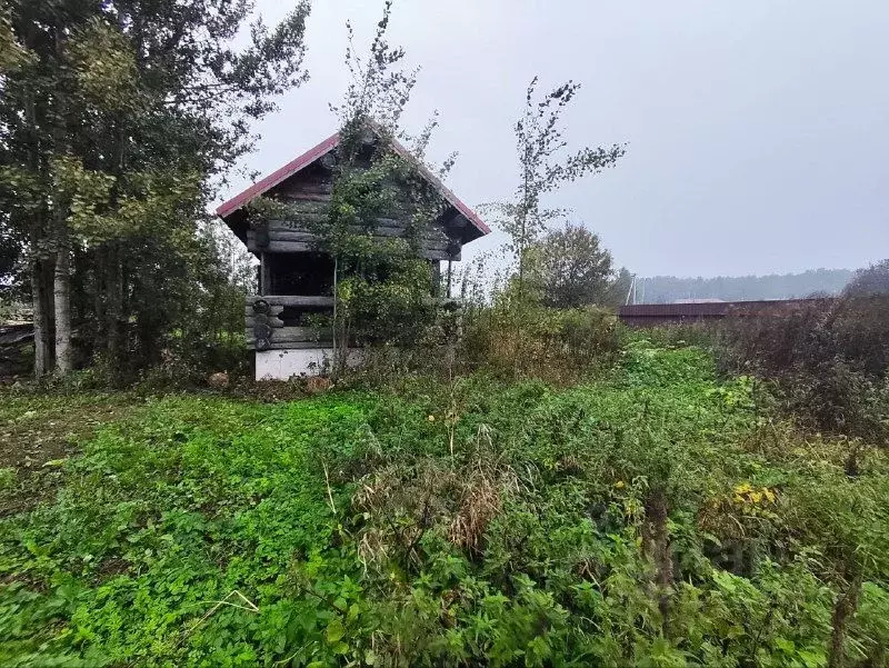 Участок в Ленинградская область, Ломоносовский район, Аннинское ... - Фото 2