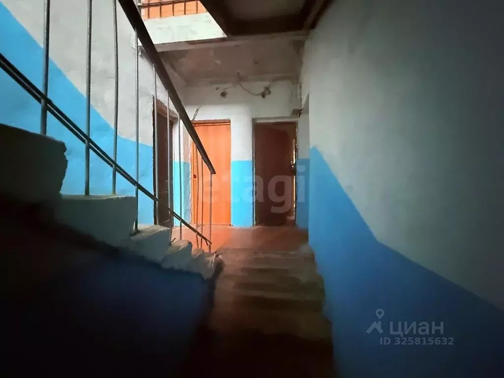 2-к кв. Владимирская область, Покров городской округ, д. Панфилово ул. ... - Фото 2