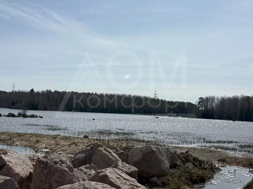 Участок в Ленинградская область, Выборг ул. Младших Командиров (22.5 ... - Фото 0