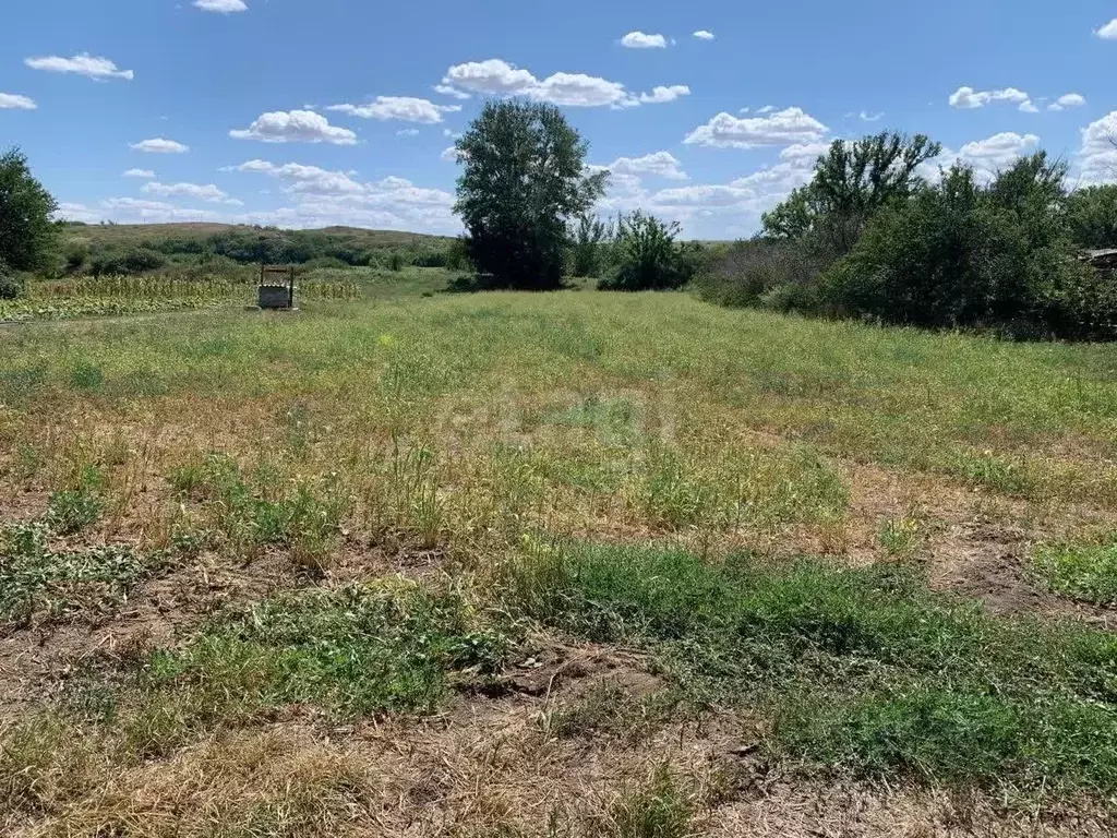 Участок в Ростовская область, Родионово-Несветайский район, ... - Фото 1
