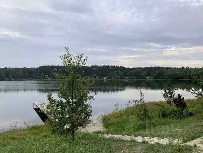 Участок в Рязанская область, Клепиковский муниципальный округ, д. ... - Фото 1