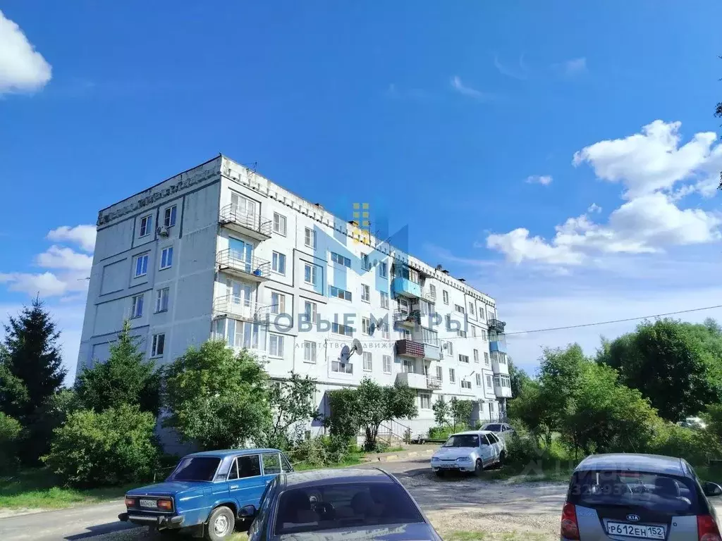 3-к кв. Нижегородская область, Балахнинский муниципальный округ, ... - Фото 1