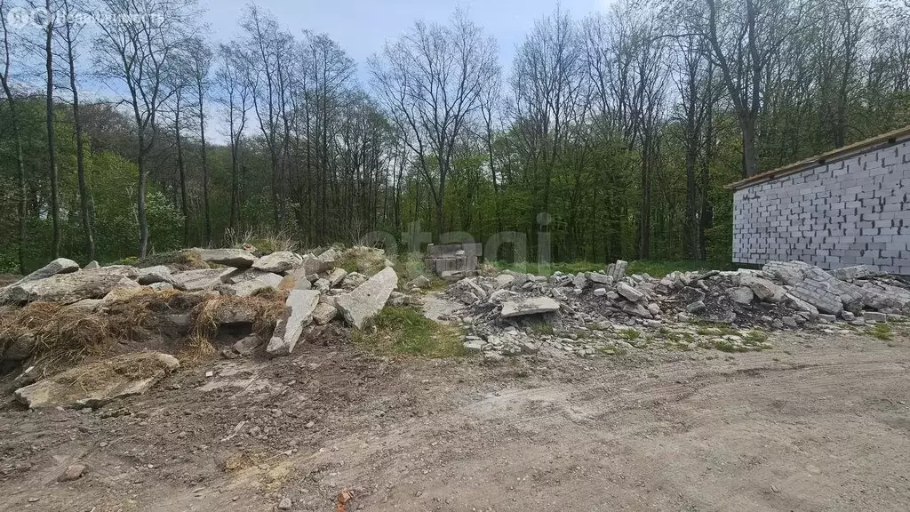 Участок в Гурьевск, ГК Дубки (1.968 м) - Фото 2