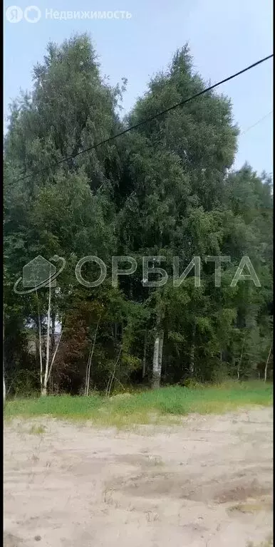 Участок в Тюмень, территория СОСН Изыскатель, Солнечная улица (10 м) - Фото 2