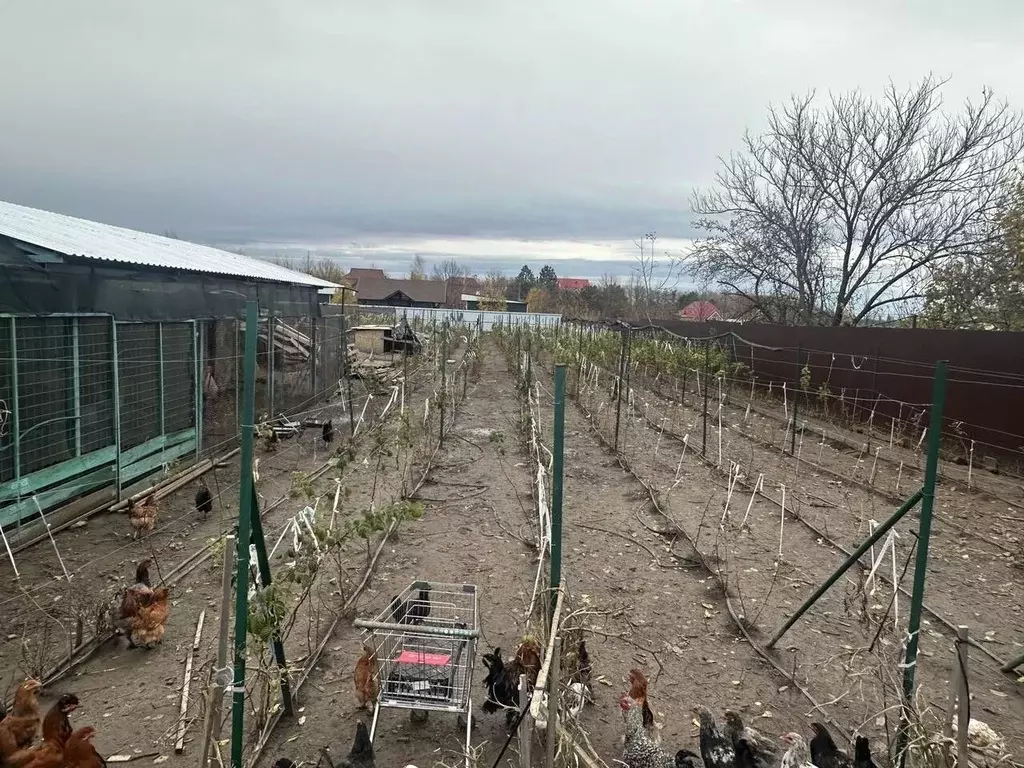 Участок в Краснодарский край, Динской район, Новотитаровское с/пос, ... - Фото 1