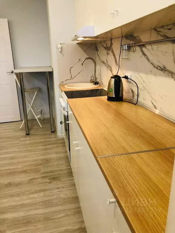 Студия Санкт-Петербург Усть-Славянка тер., ул. Заводская, 15 (29.0 м) - Фото 2