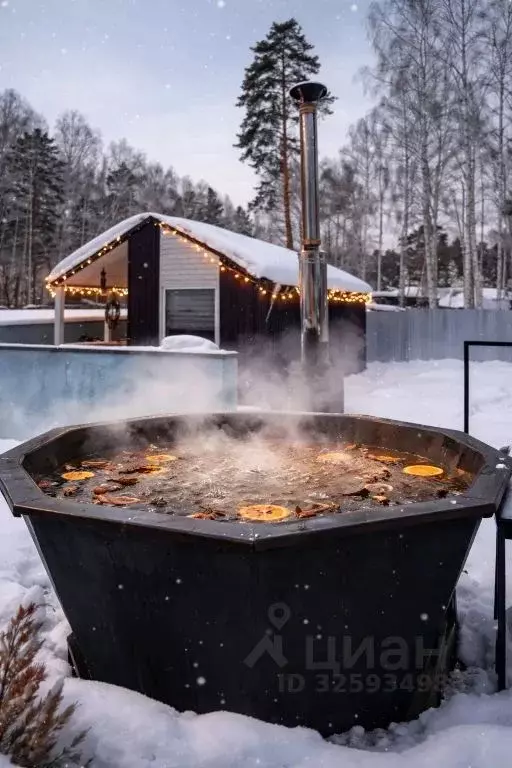 Дом в Свердловская область, Верхняя Пышма городской округ, пос. ... - Фото 1