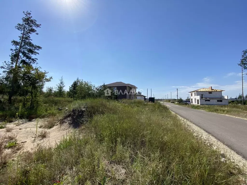 Участок в Воронежская область, Рамонский район, Новоживотинновское ... - Фото 2