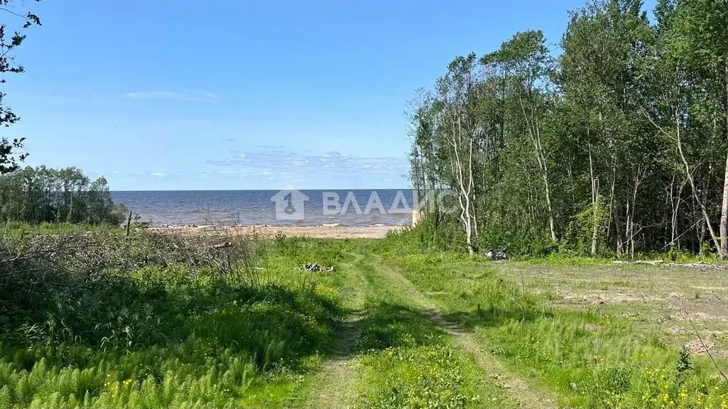 Участок в Ярославская область, Рыбинский муниципальный округ, д. ... - Фото 2