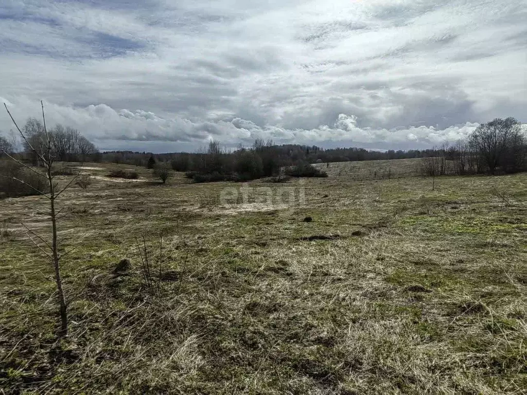 Участок в Ярославская область, Переславль-Залесский муниципальный ... - Фото 1