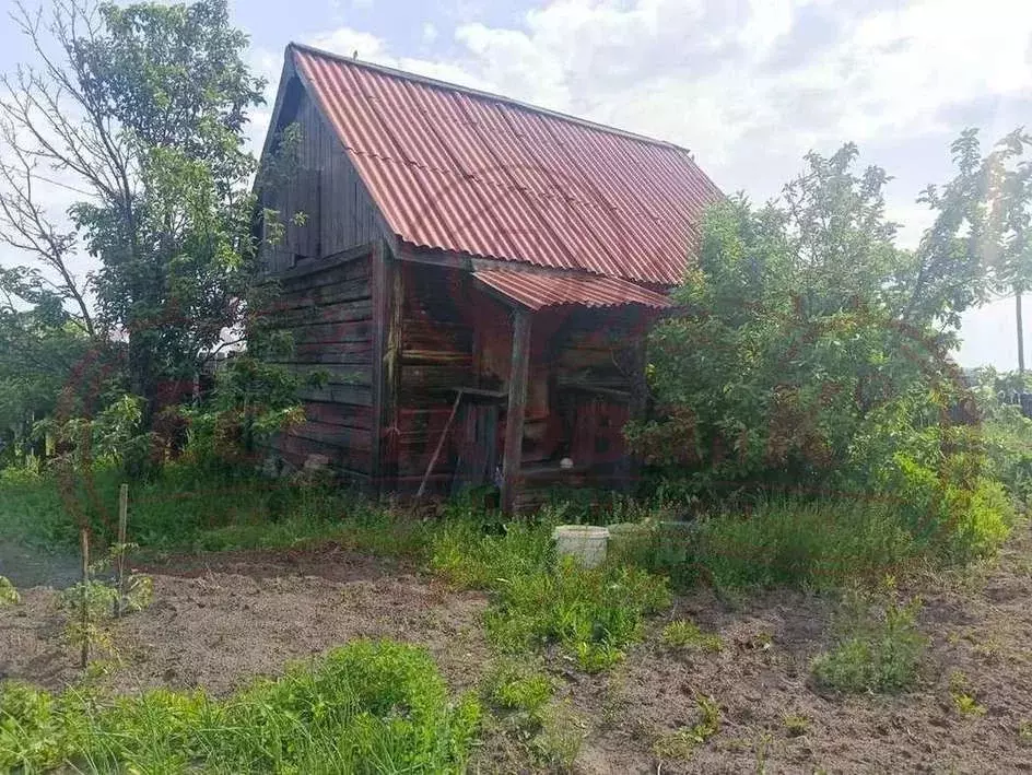 Дом в Курганская область, Курган Кургантяжстрой-4 СНТ,  (30 м) - Фото 2