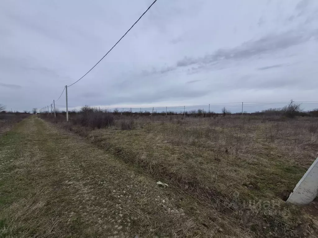 Участок в Краснодарский край, Северский район, Афипское городское ... - Фото 1