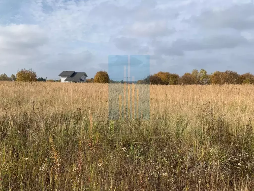 Участок в Московская область, Чехов муниципальный округ, д. Дубровка  ... - Фото 2