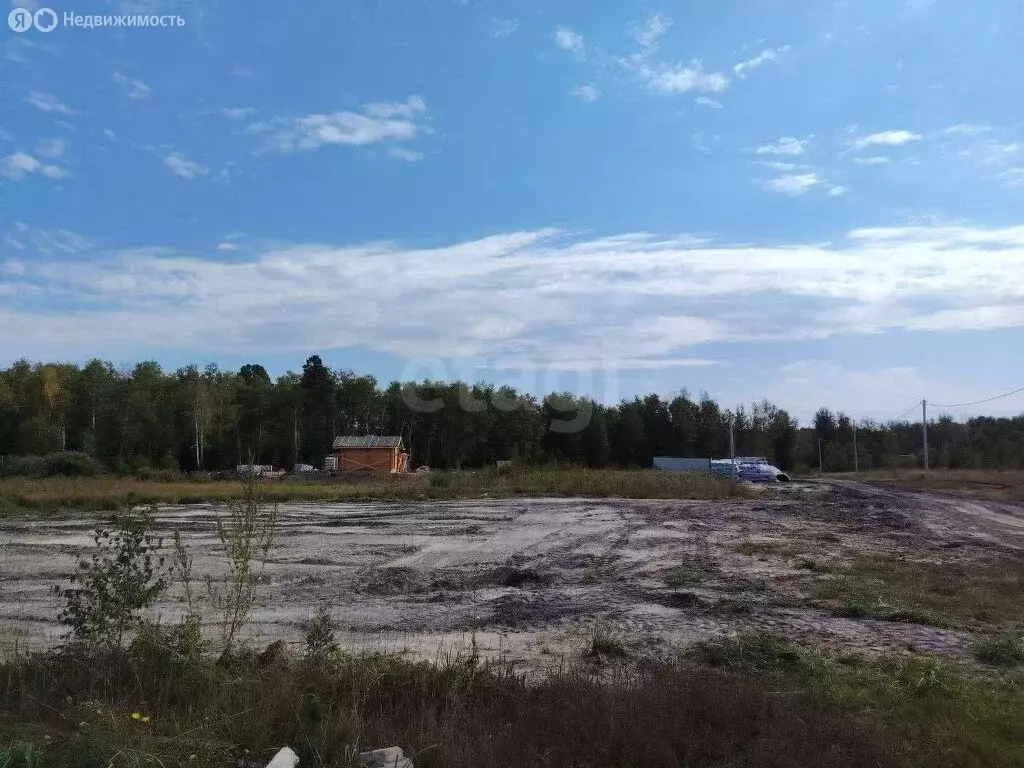 Участок в Курган, СНТ Полянка (10 м) - Фото 1