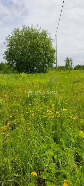 Участок в Марий Эл, Йошкар-Ола городской округ, д. Шоя-Кузнецово ул. ... - Фото 0