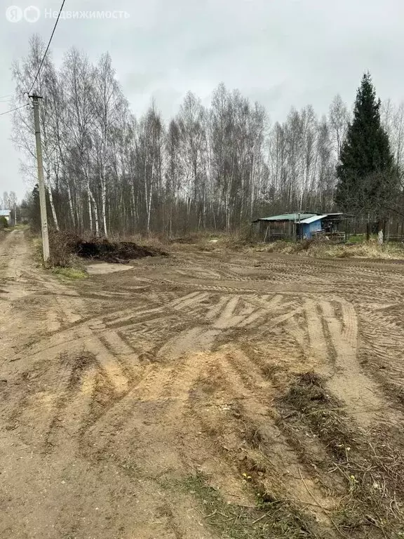 Участок в Тверская область, Калининский муниципальный округ, СНТ ... - Фото 1
