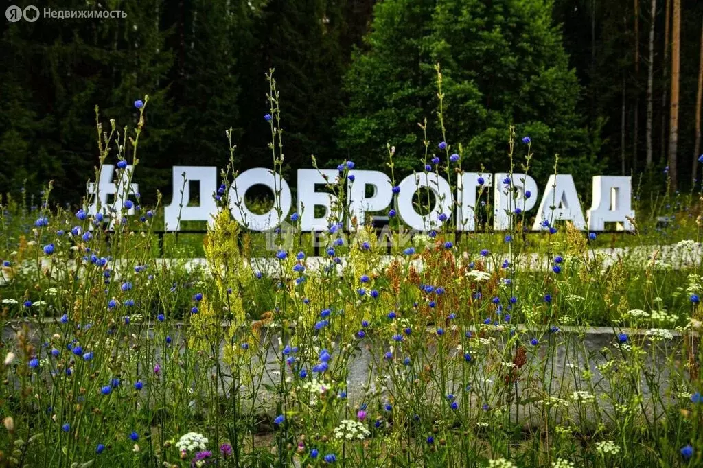 Участок в Доброград, посёлок Доброград, Еловый проезд (10.76 м) - Фото 1