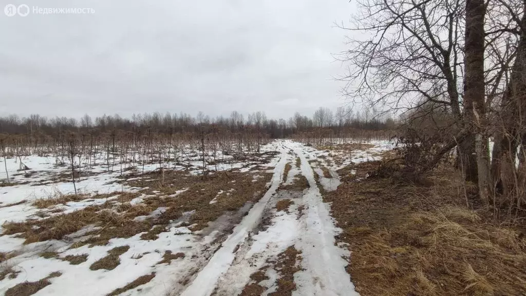 Участок в Старопольское сельское поселение, деревня Русско (15.29 м) - Фото 1