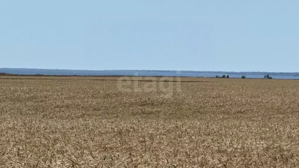 Участок в Крым, Черноморский район, с. Окуневка  (128.39 сот.) - Фото 0