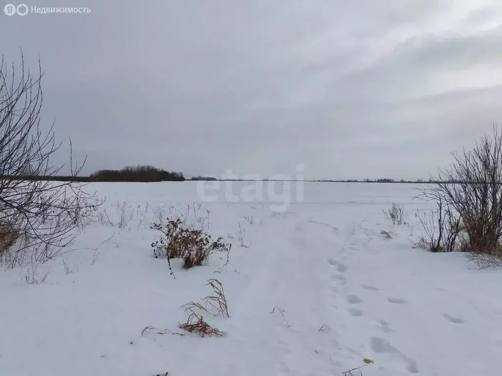 Участок в Тюмень, Ленинский округ (7.36 м) - Фото 1