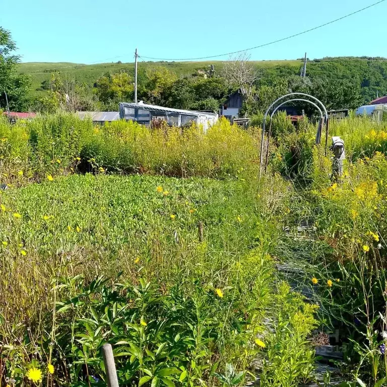 Участок в Сахалинская область, Невельский городской округ, с. ... - Фото 1