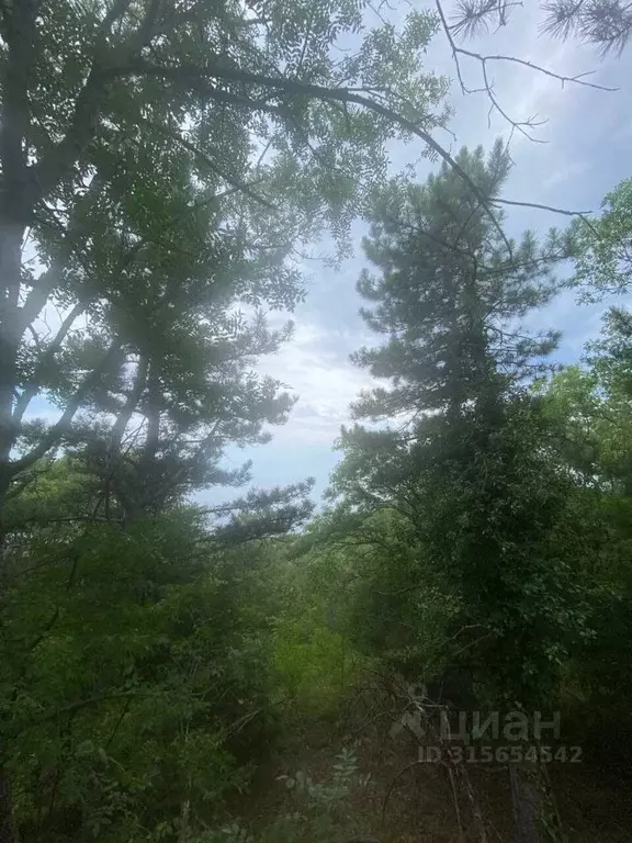 Участок в Крым, Ялта муниципальный округ, Кореиз пгт  (10.0 сот.) - Фото 1