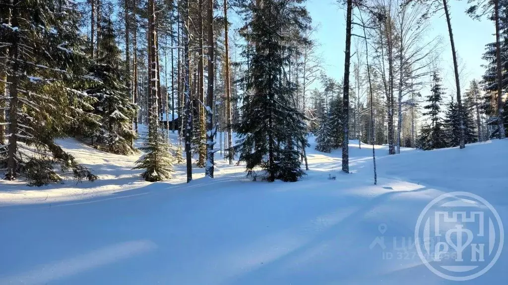 Участок в Ленинградская область, Всеволожский район, Куйвозовское ... - Фото 1