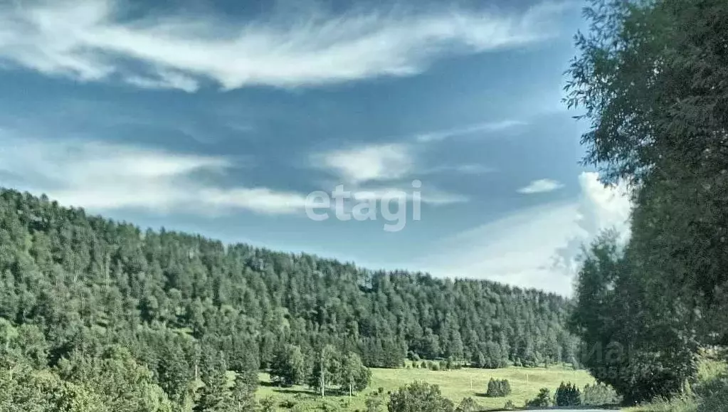 Участок в Алтай, Чемальский район, с. Бешпельтир  (2916.3 сот.) - Фото 0