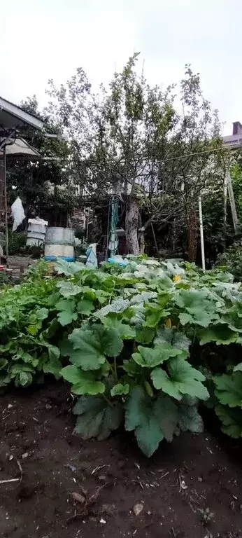 Участок в Кисловодск, улица Щербакова (9 м) - Фото 1