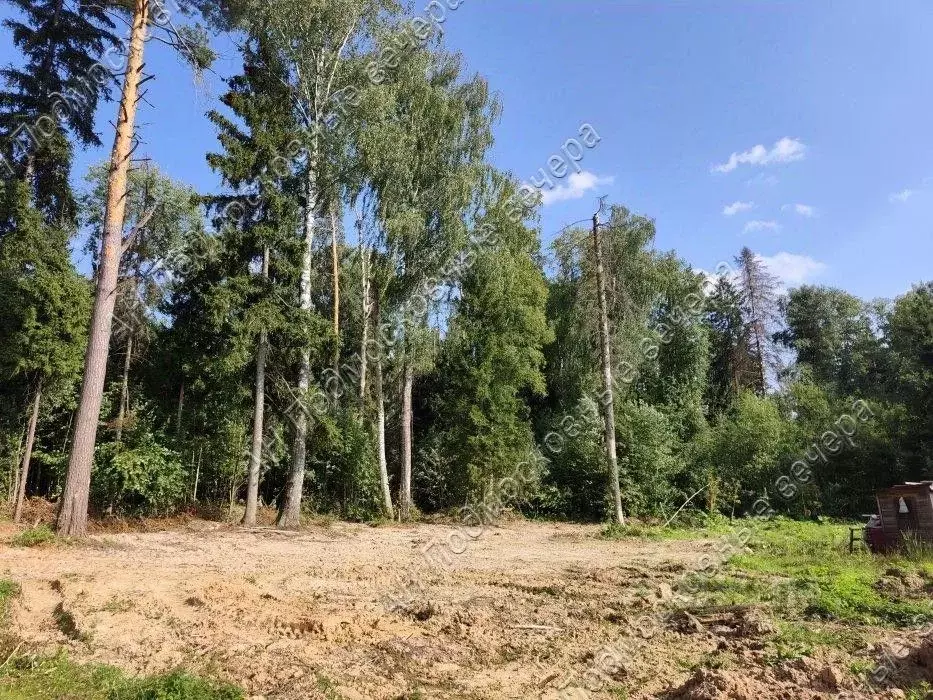 Участок в Московская область, Солнечногорск городской округ, ... - Фото 1