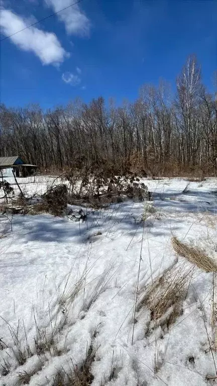 Участок в Амурская область, Благовещенский район, Солнечный СТ  (13.9 ... - Фото 1