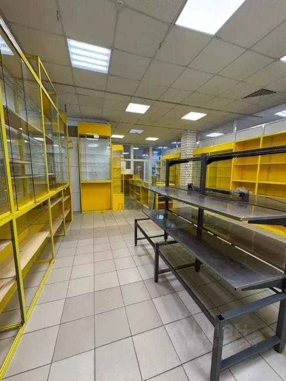 Торговая площадь в Московская область, Раменский муниципальный округ, ... - Фото 2