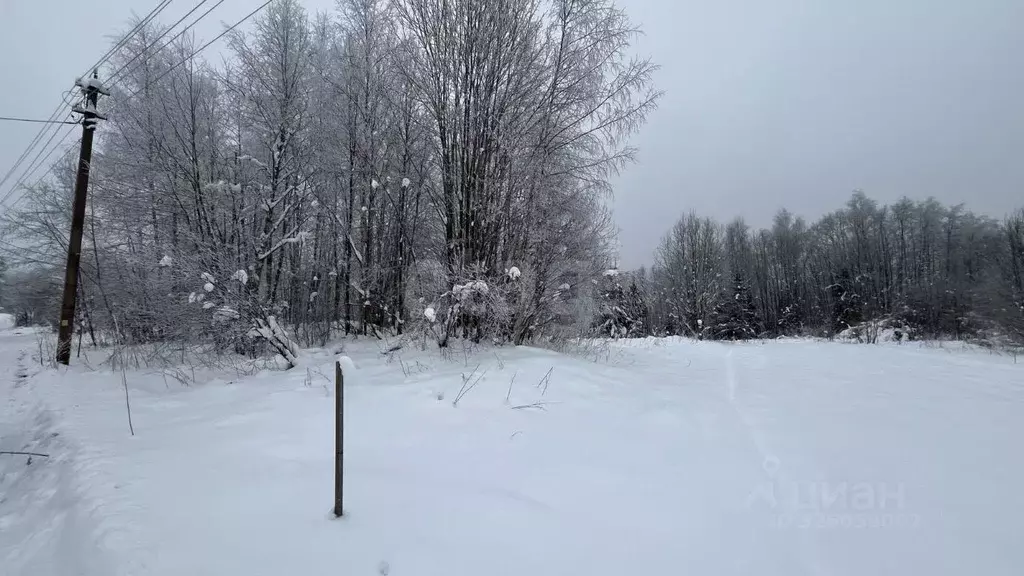 Участок в Ленинградская область, Киришский район, Будогощское ... - Фото 1