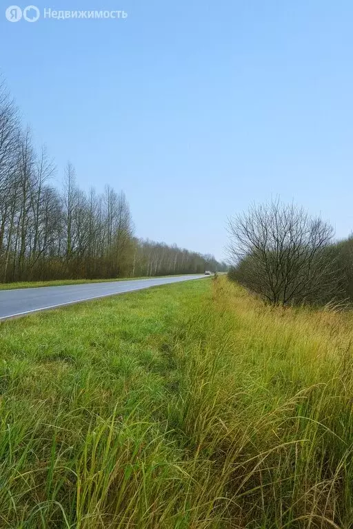 Участок в Калужская область, Бабынинский муниципальный округ, ... - Фото 2