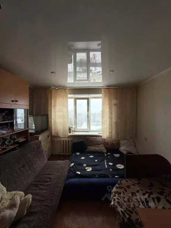 Комната Брянская область, Брянск Клинцовская ул., 64 (13.2 м) - Фото 1