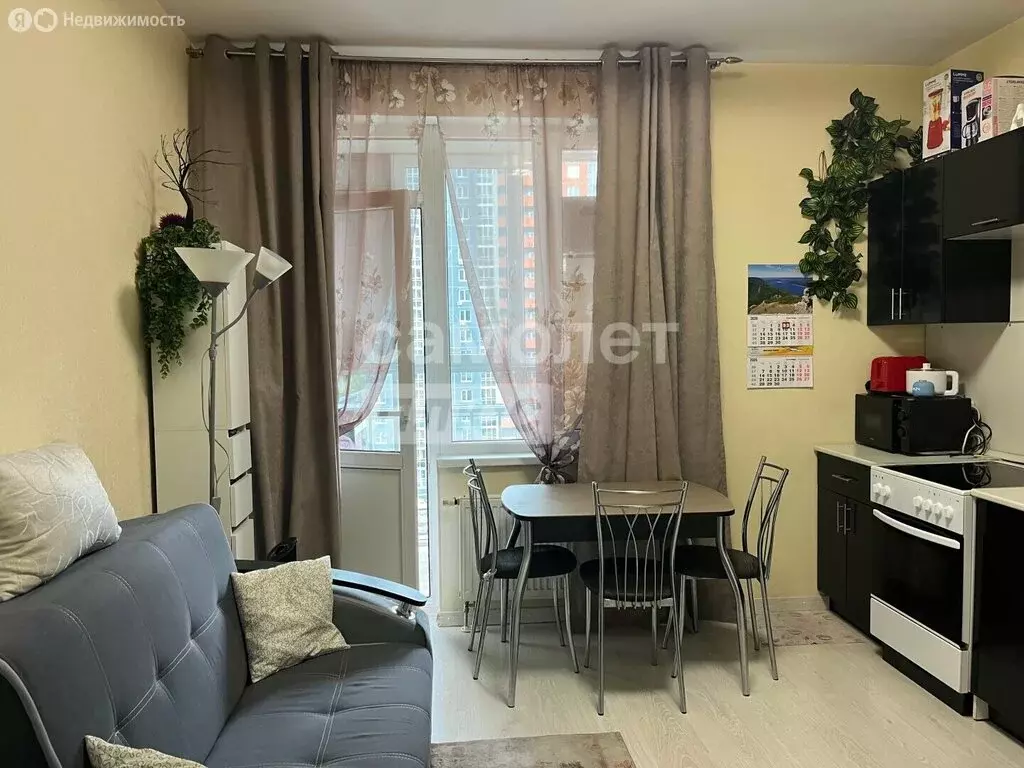Квартира-студия: деревня Анкудиновка, Русская улица, 1 (22.6 м) - Фото 1