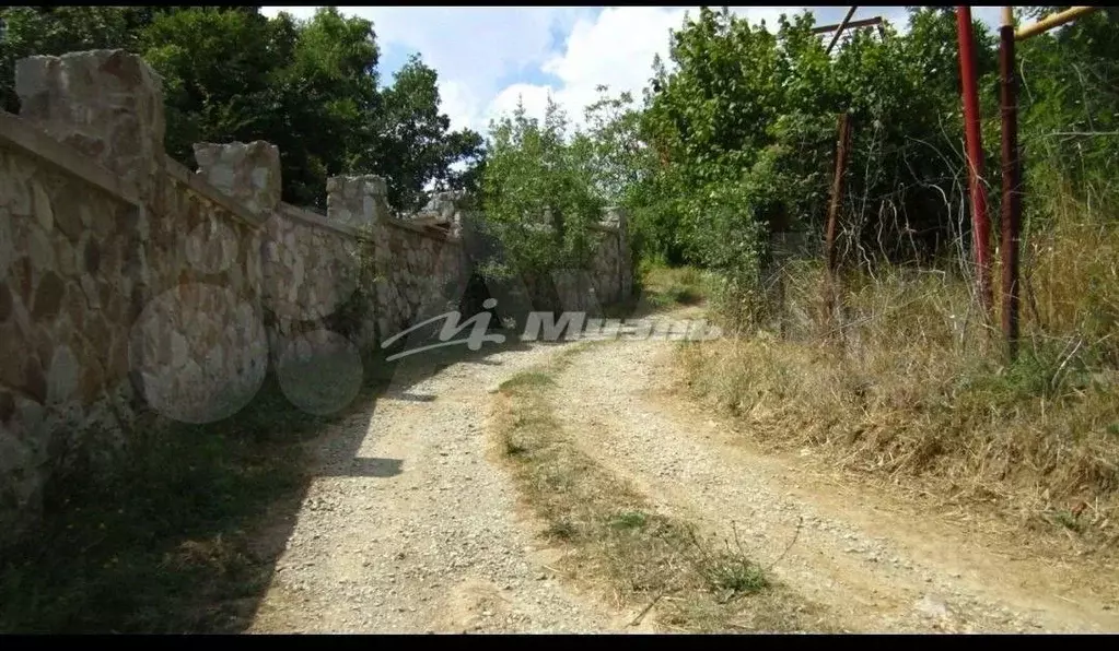 Участок в Крым, Алушта муниципальный округ, с. Малый Маяк ул. ... - Фото 1