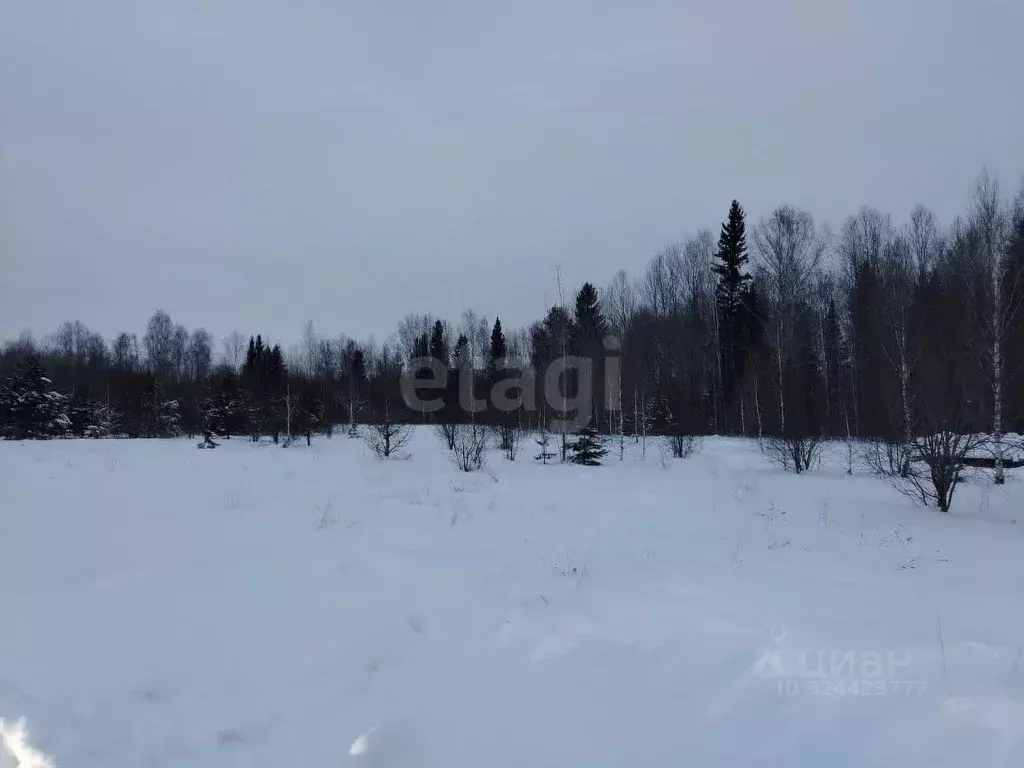 Участок в Томская область, Томский район, с. Корнилово, Красная горка ... - Фото 2