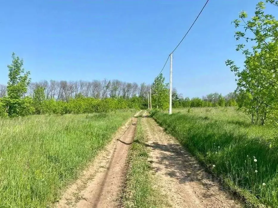 Участок в Белгородская область, Белгородский район, Новосадовское ... - Фото 0