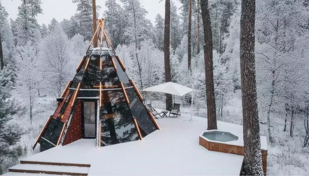 Дом в Алтай, Чемальский район Чемальский тракт, 10 км, 1/1 (30 м) - Фото 1