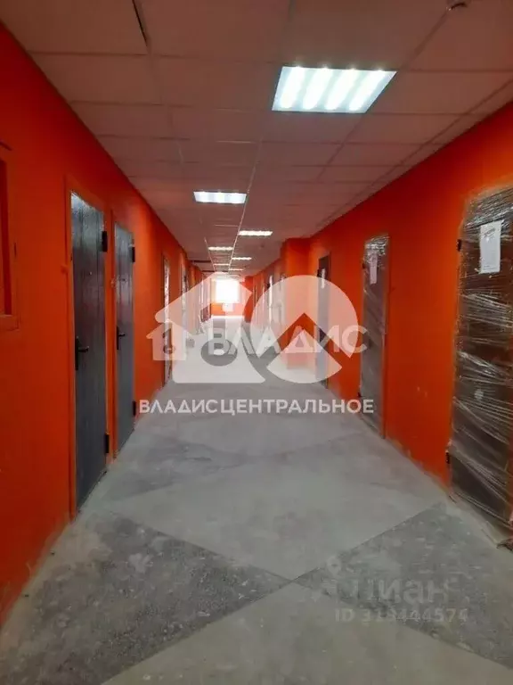 Студия Новосибирская область, Новосибирск Северный мкр, ул. ... - Фото 1