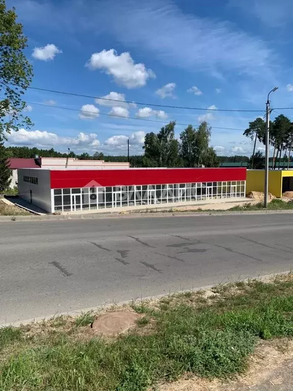 Помещение свободного назначения в Марий Эл, Звенигово Пионерская ул., ... - Фото 0