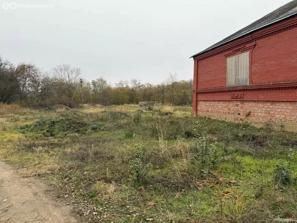 Участок в посёлок Заветный, Набережная улица, 61 (30 м) - Фото 1