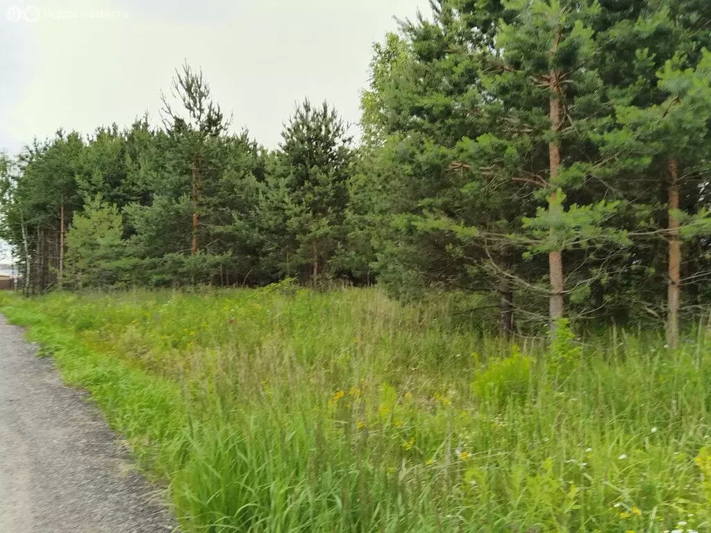 Участок в Раменское, КП Дергаево-2 (6.3 м) - Фото 1