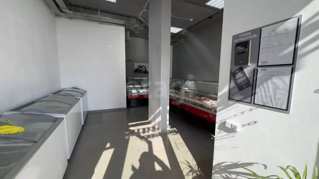 Торговая площадь в Воронежская область, Воронеж ул. Независимости, ... - Фото 1