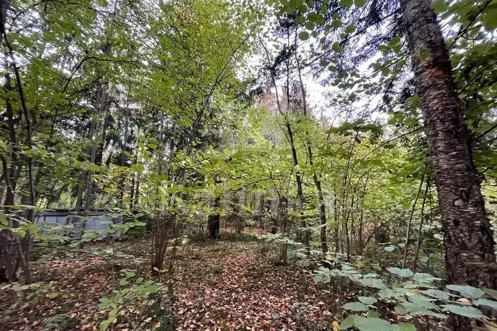 Участок в Московская область, Одинцовский городской округ, д. Жуковка  ... - Фото 1